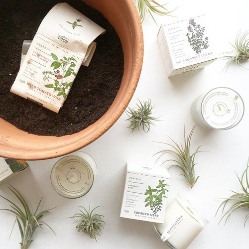 KOBO Seed Candle in Pot