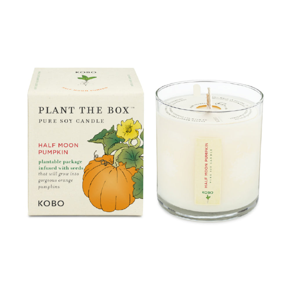 KOBO Half Moon Pumpkin Seed Candle
