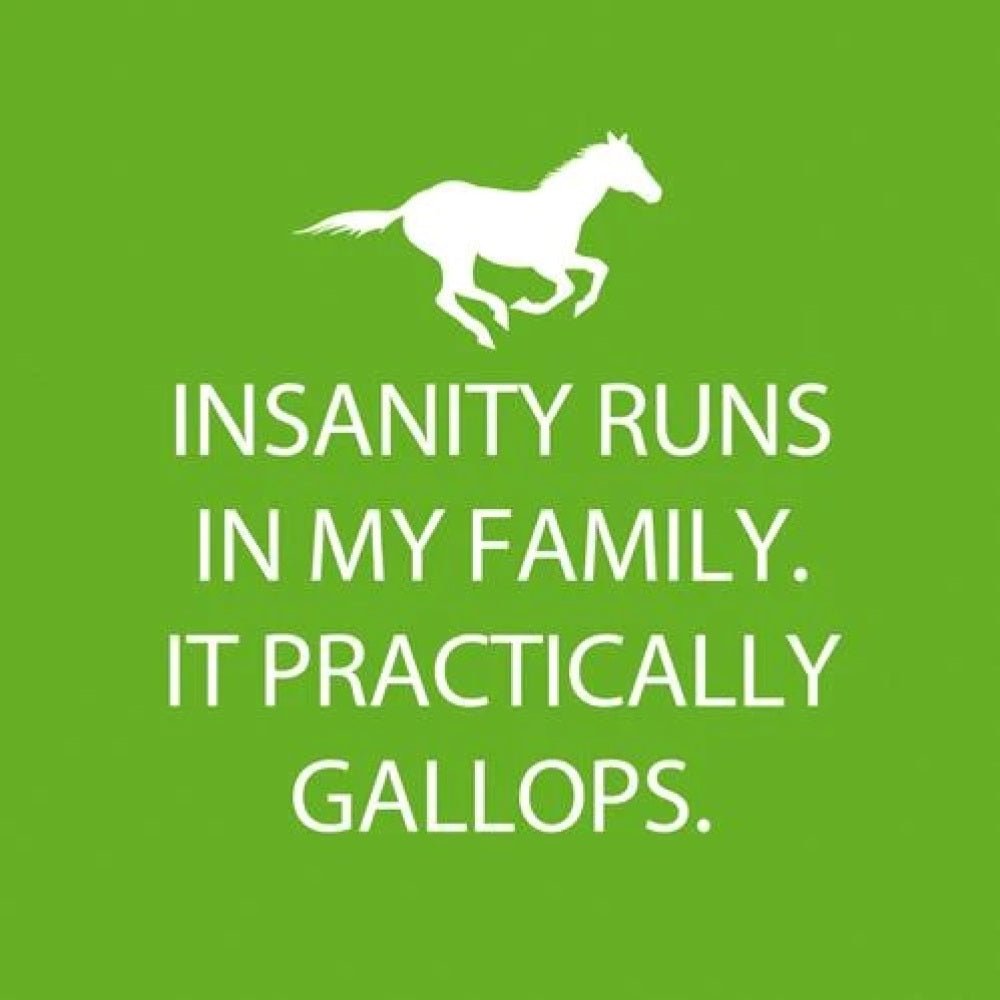 Insanity Cocktail Napkins - The Savory Pantry