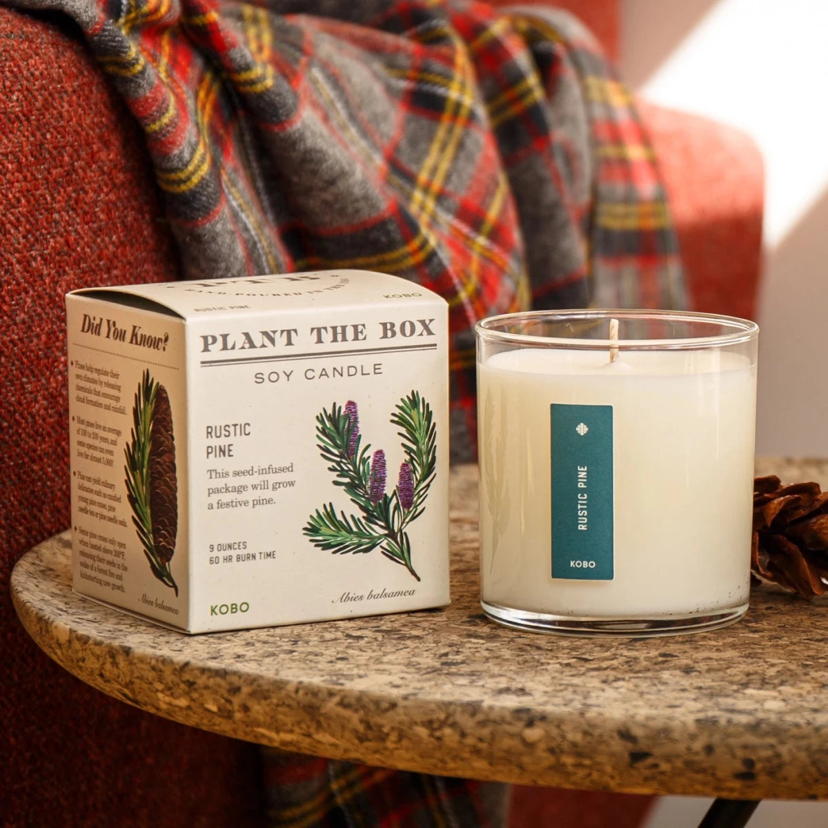 KOBO Rustic Pine Pure Seed Candle - The Savory Pantry