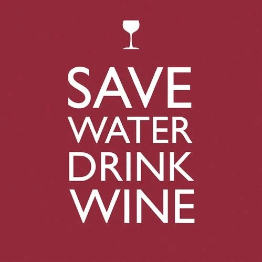 Save Water Drink Wine Cocktail Napkin - The Savory Pantry