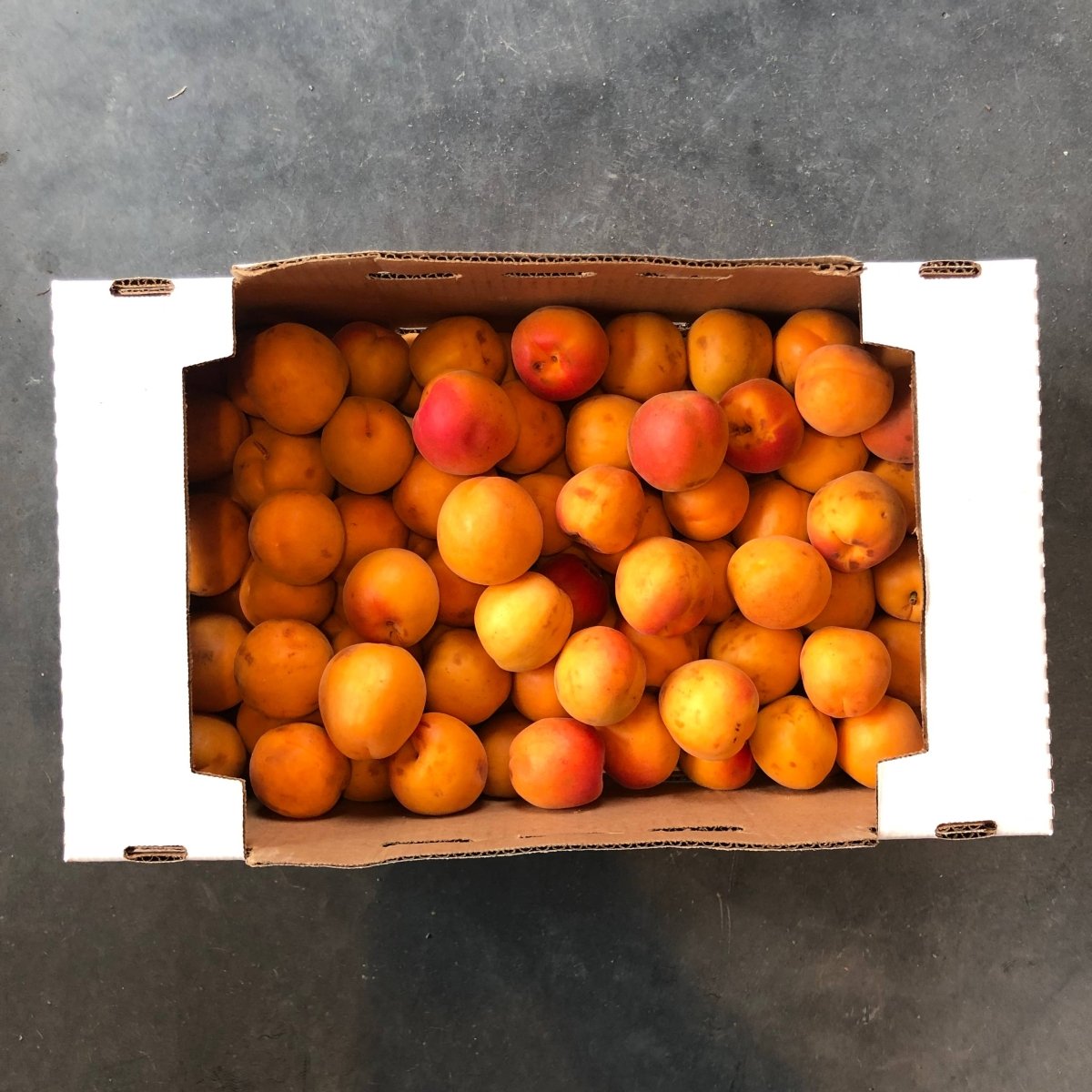 Orchard Apricot Spoon Preserves - The Savory Pantry