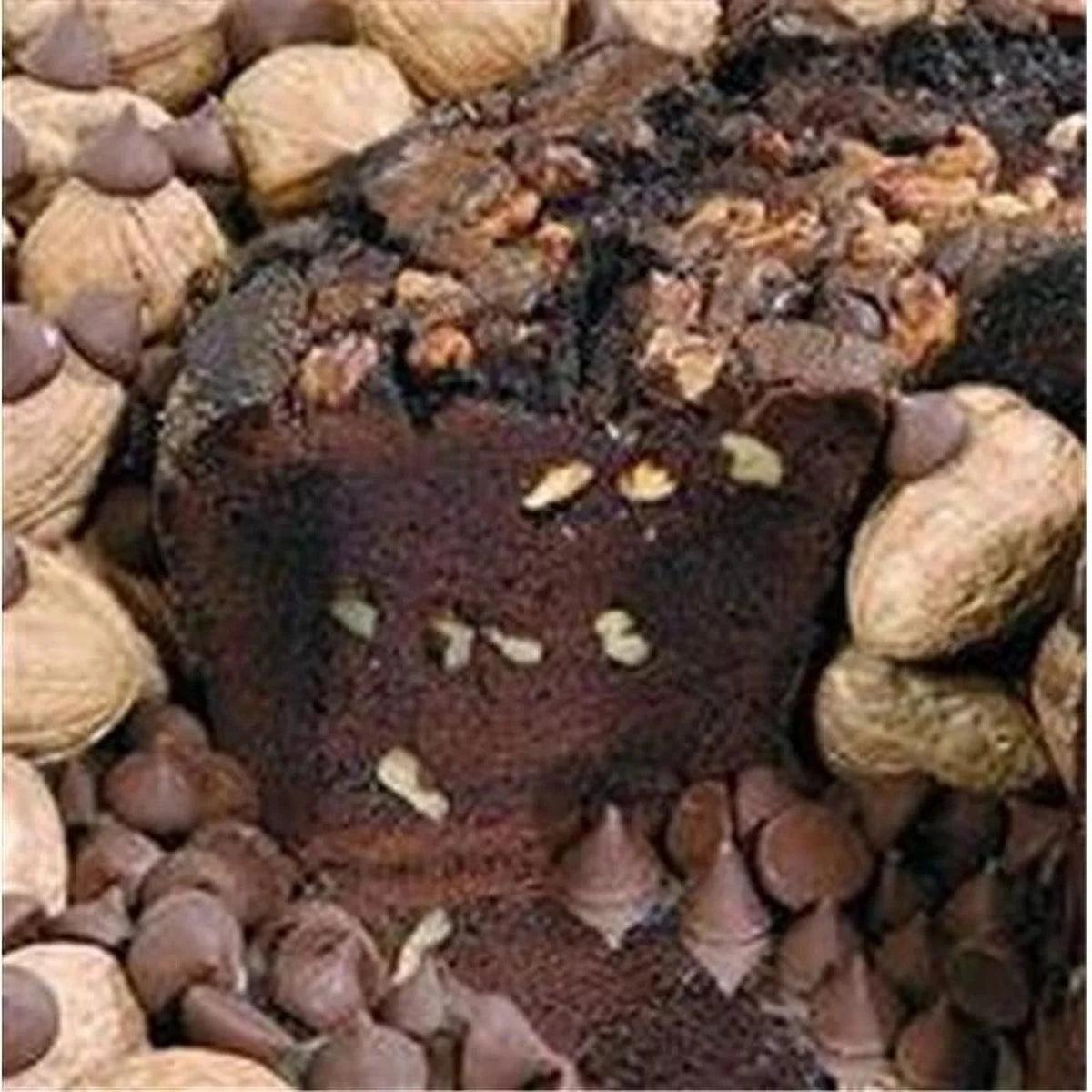 Ted Williams All-Star Chocolate Coffee Cake - The Savory Pantry