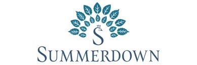 Summerdown Mint - The Savory Pantry