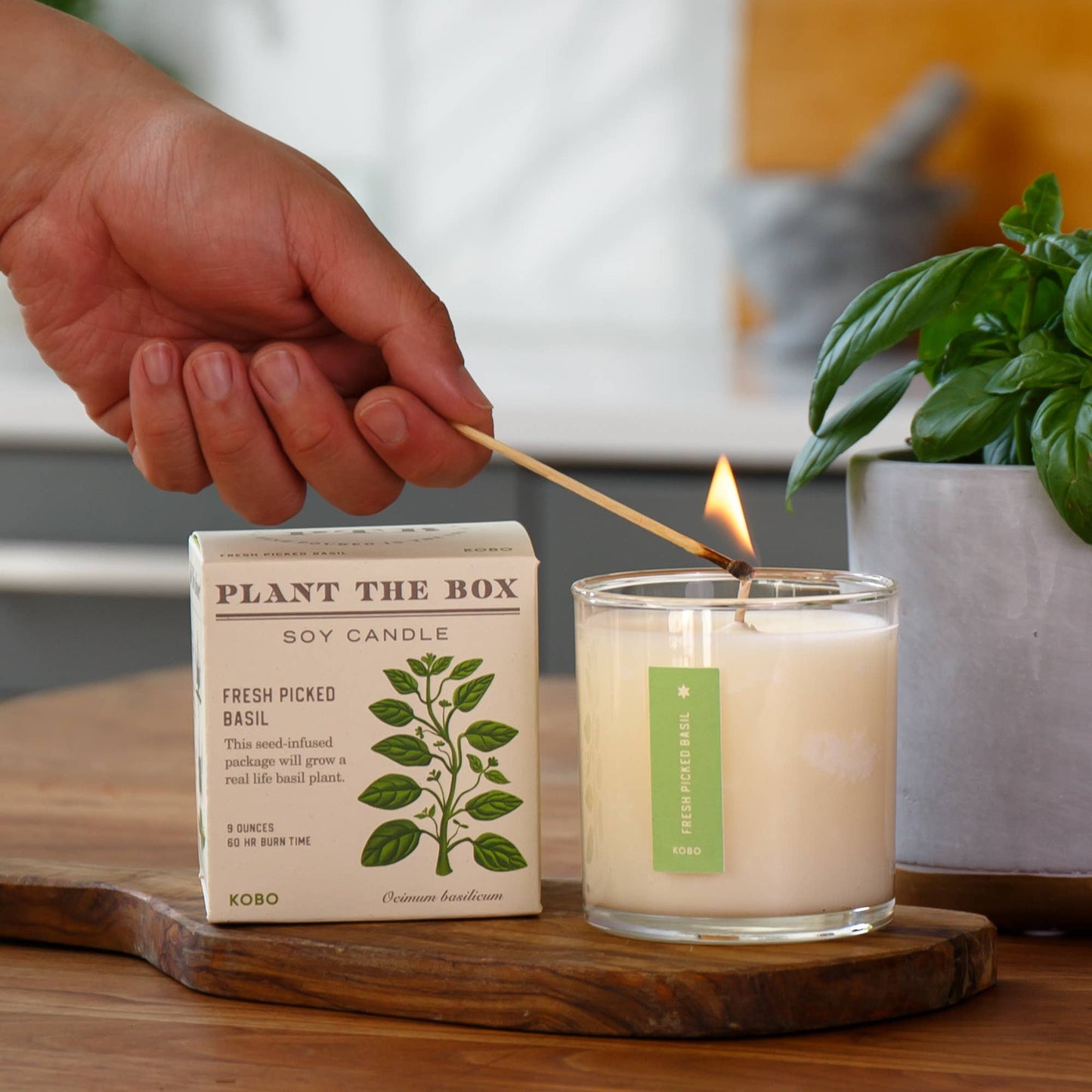 KOBO Fresh Picked Basil Seed Candle
