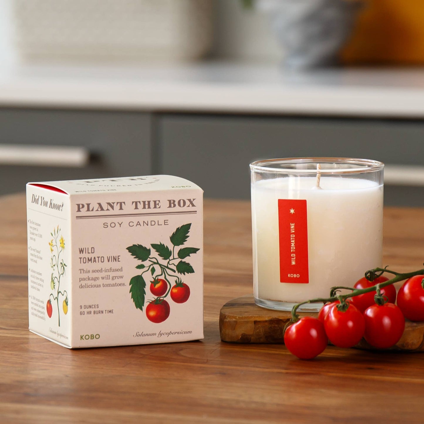 KOBO Wild Tomato Vine Seed Candle
