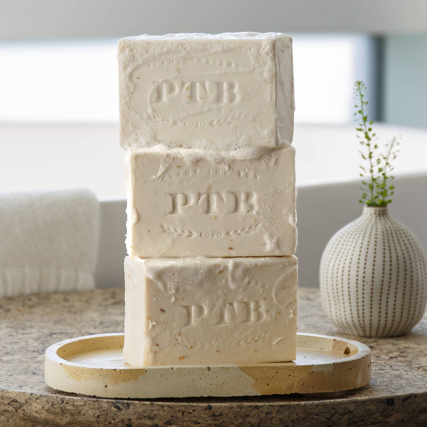 Plant the Box Bar Soap Gift Set