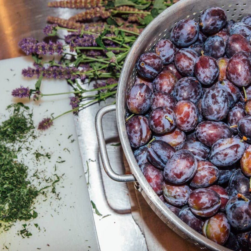 Island Plum Spoon Preserves - The Savory Pantry