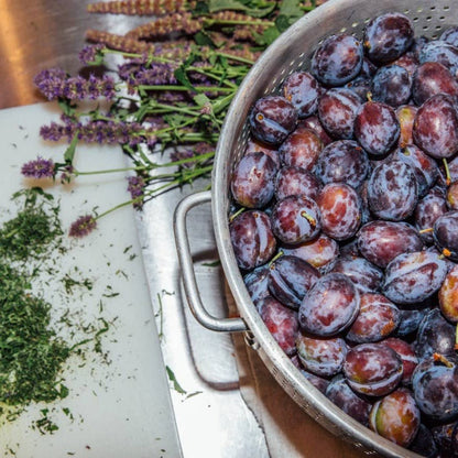 Island Plum Spoon Preserves - The Savory Pantry