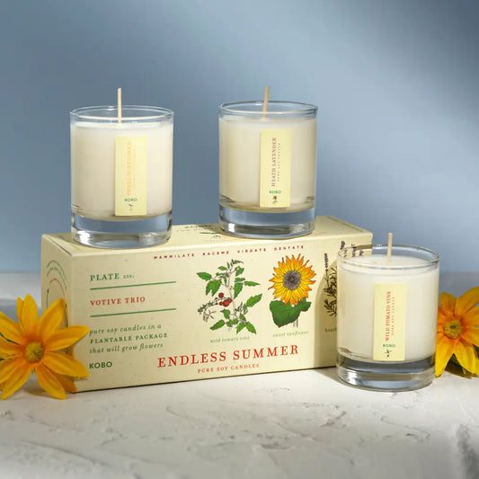 Endless Summer Plant the Box Votive Trio