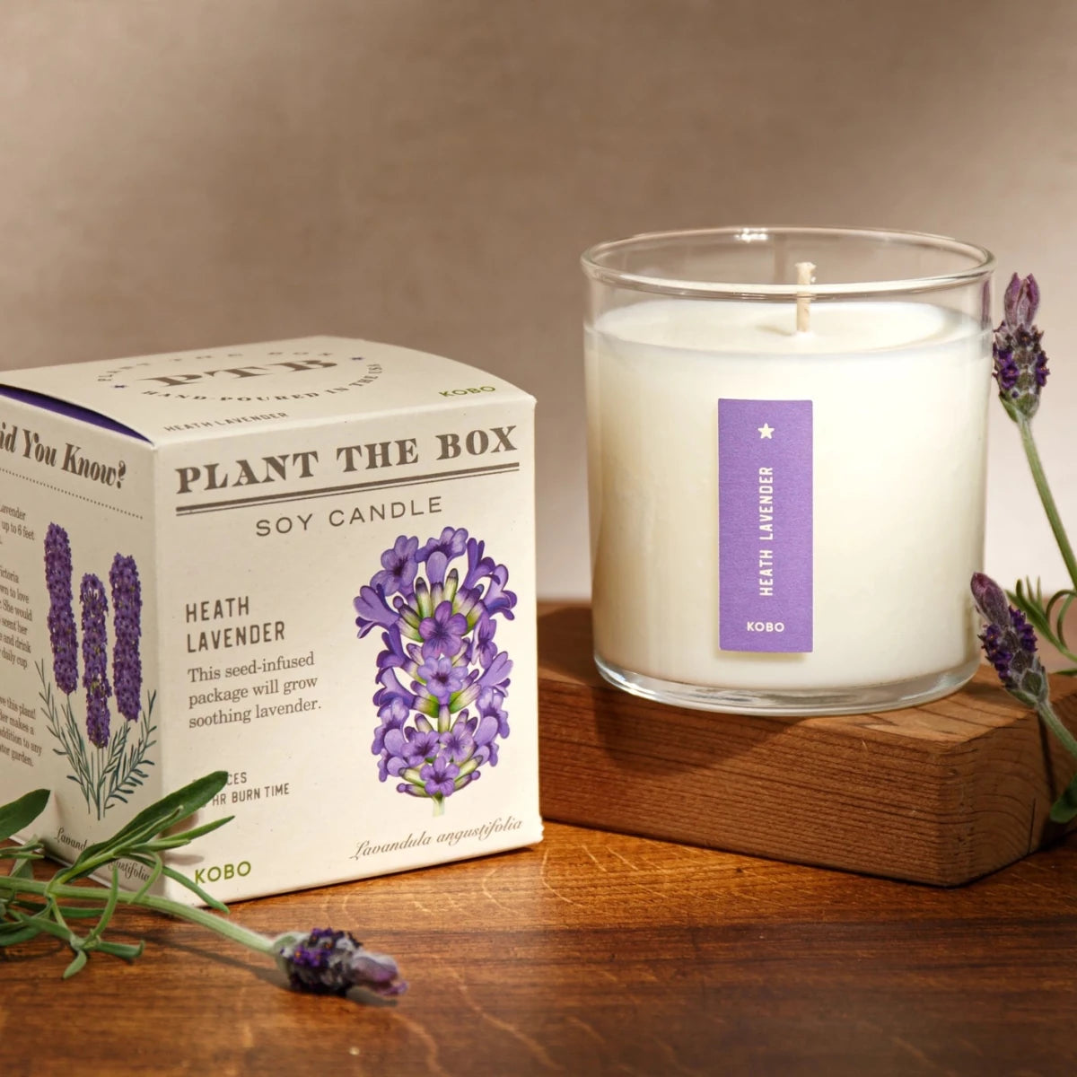 KOBO Candles Heath Lavender Seed Candle