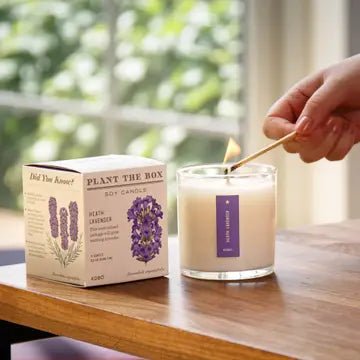 KOBO Candles Heath Lavender Seed Candle - Thumbnail 2