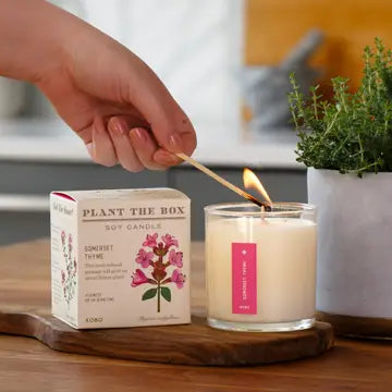 KOBO Somerset Thyme Seed Candle