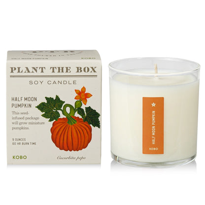 KOBO Half Moon Pumpkin Seed Candle