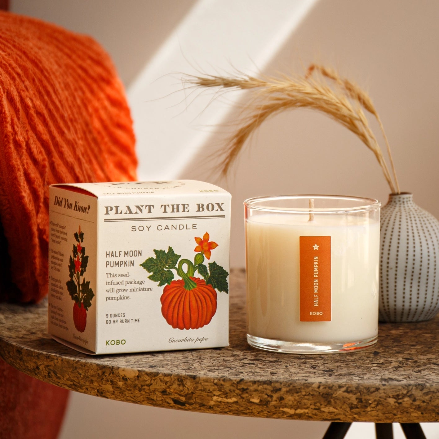 KOBO Half Moon Pumpkin Seed Candle