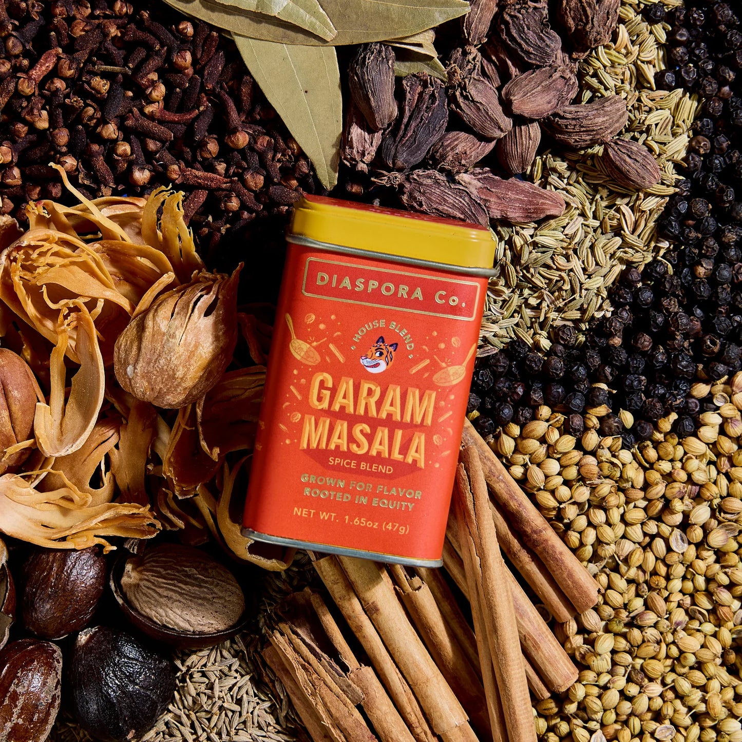 Masala Essentials Gift Set