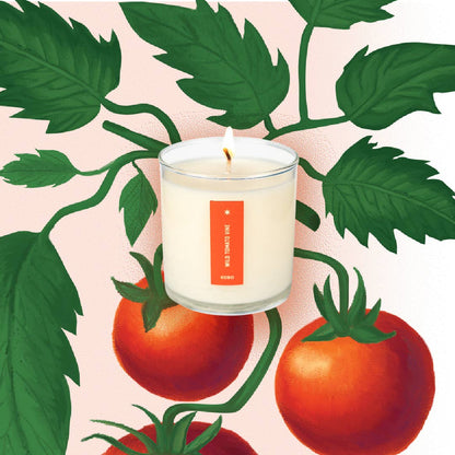 KOBO Wild Tomato Vine Seed Candle
