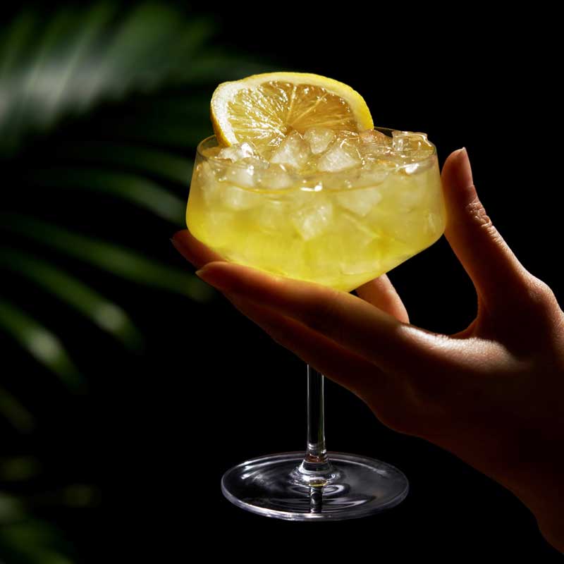 French 75 Cocktail Gift