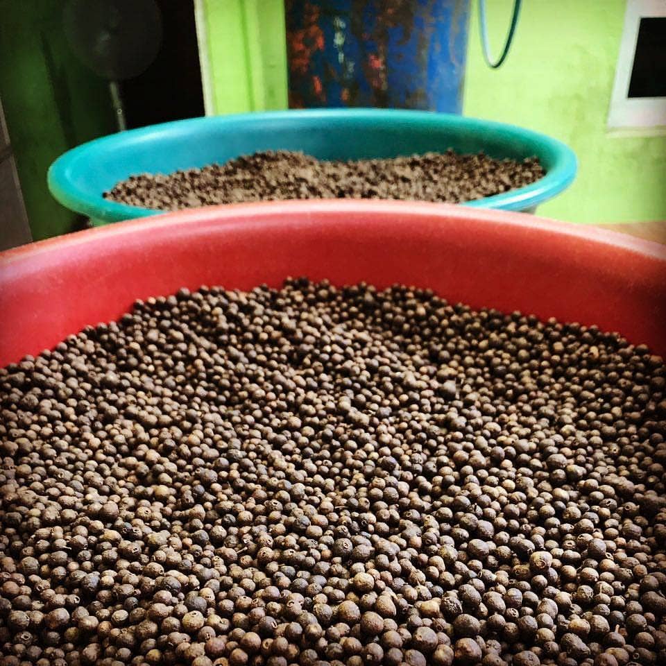 Guatemalan Sweet Allspice