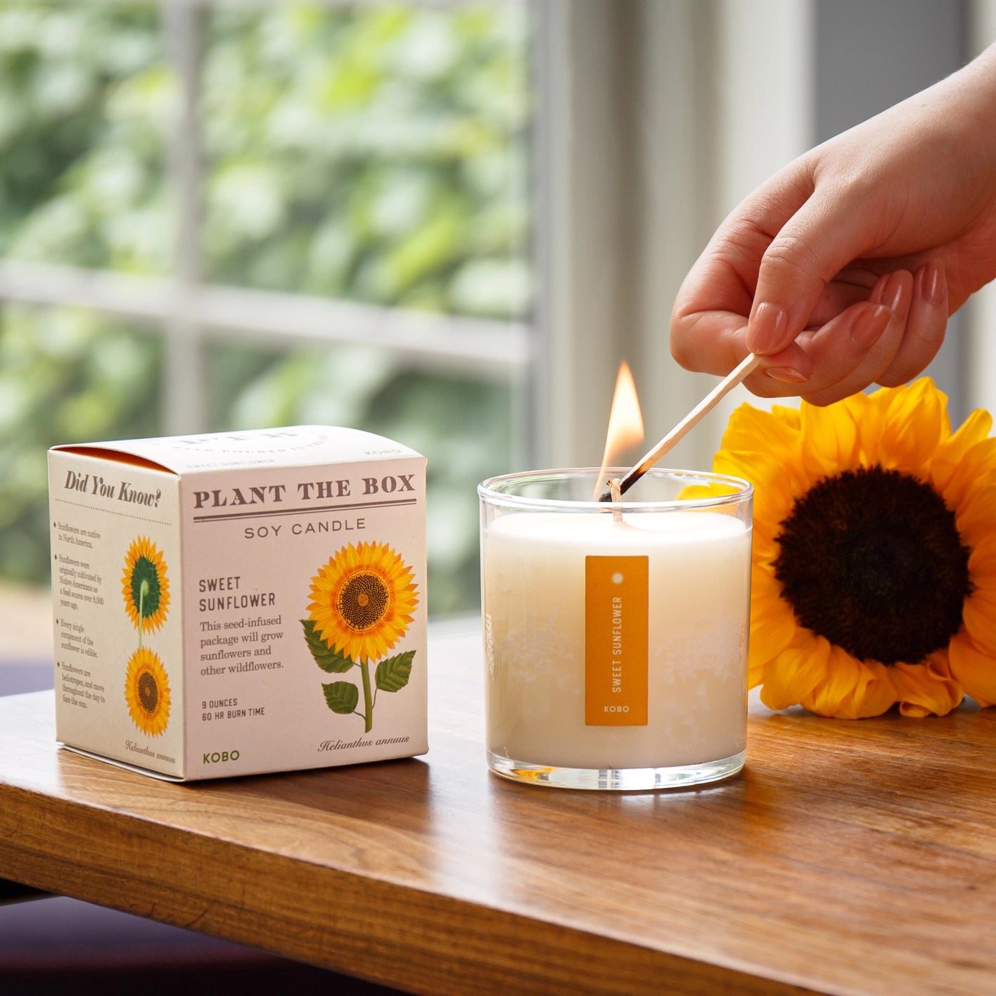 KOBO Sweet Sunflower Seed Candle